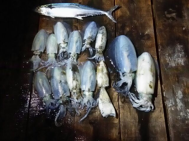 �G�ۉԂ�����`��i�ɐS���䂾�ˊC�̌b�݂�H���h�`