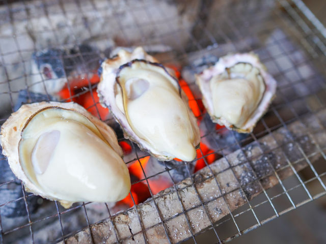 �|��u�����h���y(12���`5��)_���y�Ă� �|��C�Y