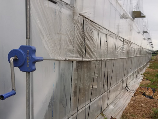 �Y��ɂȂ�܂���2_�݂悵�ς��ς��t�@�[��