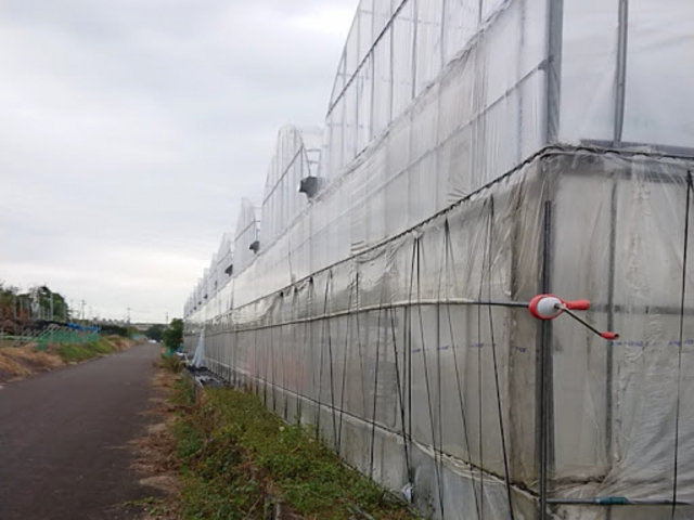 �Y��ɂȂ�܂���3_�݂悵�ς��ς��t�@�[��