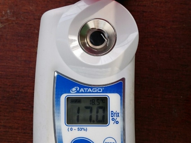 �݂悵�ς��ς��t�@�[��