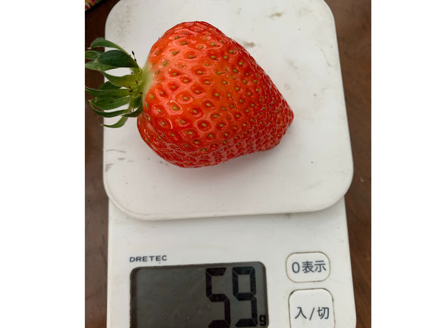 �݂悵�ς��ς��t�@�[��