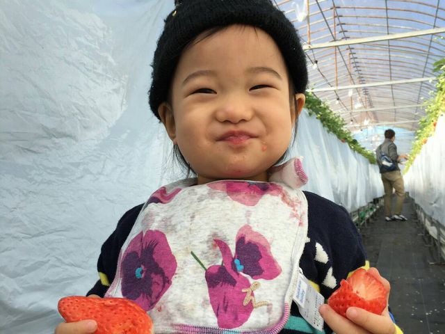 ������Ċ��������ł��B�Ƃ��Ă������������������̂ł����x�ł��A_�݂悵�ς��ς��t�@�[��