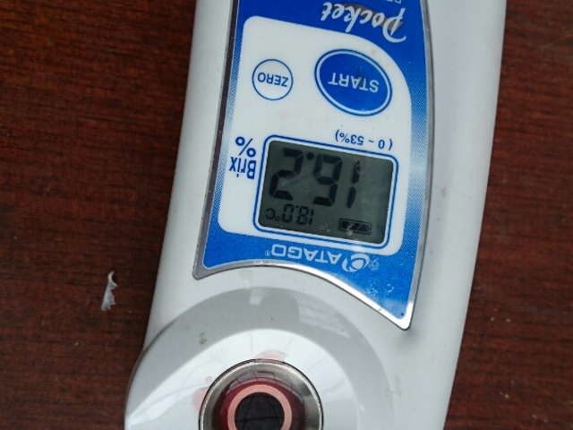 �͕P
1��14�����x16.2�x_�݂悵�ς��ς��t�@�[��