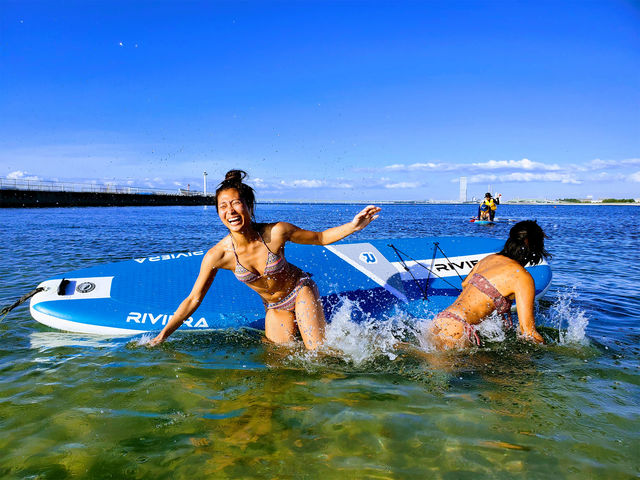 �������Ă����y�����`_AWAS(�A���X)