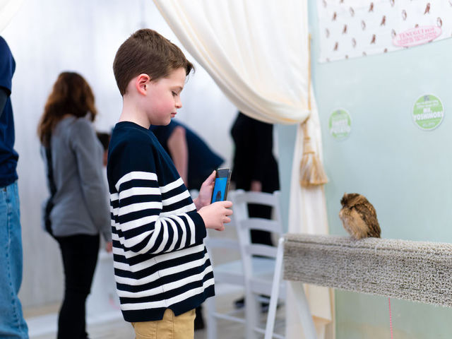 �t�N���E�J�t�F �A�L�o�t�N���E �H�t�� ���q�l���t�N���E�Ə��ΖʁI_�A�L�o�t�N���E �t�N���E�J�t�F ���� Owl Cafe Akiba Fukurou