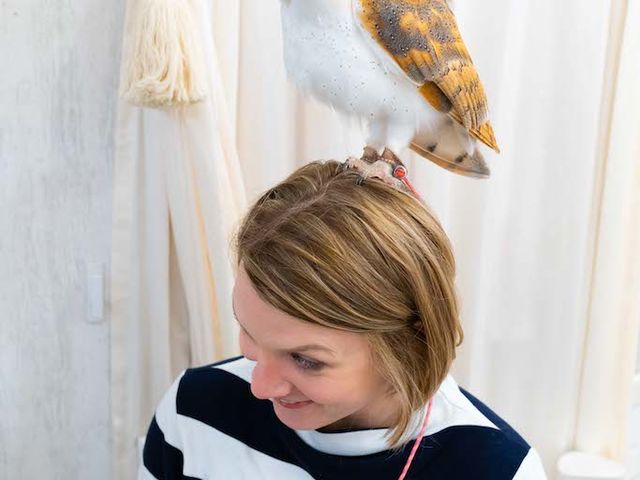 �t�N���E�J�t�F �A�L�o�t�N���E �H�t�� ���Ŋ��������t�N���E_�A�L�o�t�N���E �t�N���E�J�t�F ���� Owl Cafe Akiba Fukurou