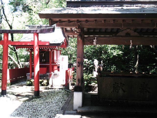 ��t��א_��