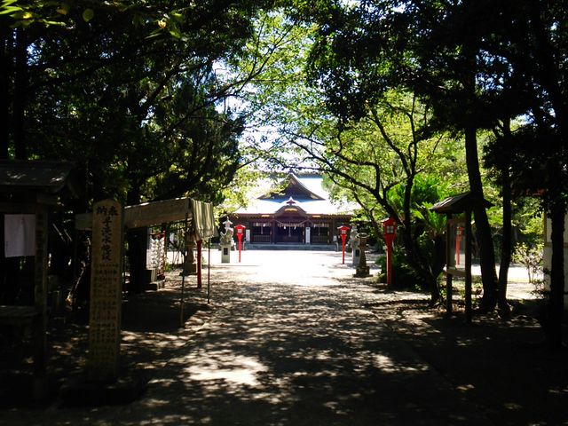 ��t��א_��