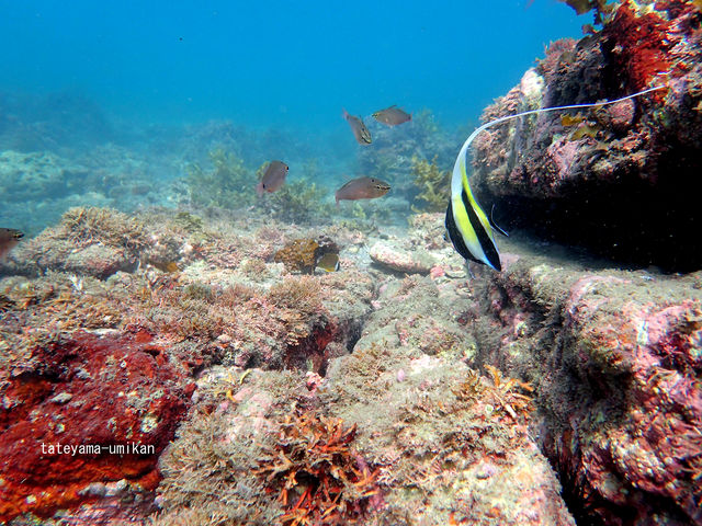 �C�̒��͍ʂƂ�ǂ�̌i�F���L�����Ă��܂��B_���Ă�܁E�C�ӂ̊Ӓ�c