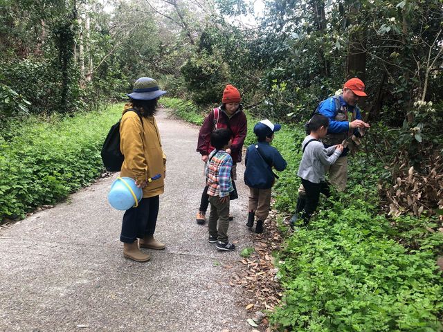 �����ȓ��̑傫�ȐX�͋G�߂��Ƃɕ\���ς��܂��B_���Ă�܁E�C�ӂ̊Ӓ�c