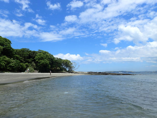 �����ʂ����C�Ɛ��ݓn���Ɉ͂܂�āA���₩�Ɏ�������Ă��܂��B_���Ă�܁E�C�ӂ̊Ӓ�c