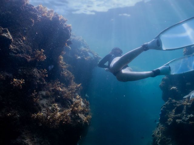 �t�R�_�C�r���O�T�[�r�X