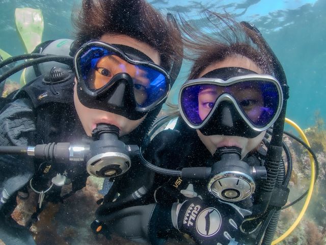 �t�R�_�C�r���O�T�[�r�X