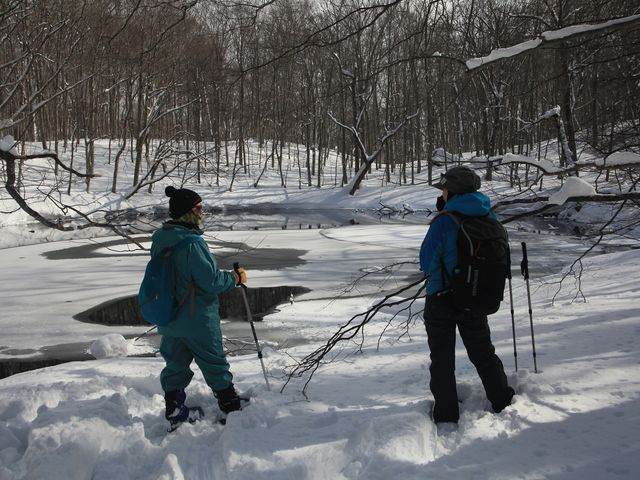 �K�C�h�l�C�`���[�Y�^�C��