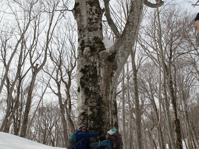 �K�C�h�l�C�`���[�Y�^�C��