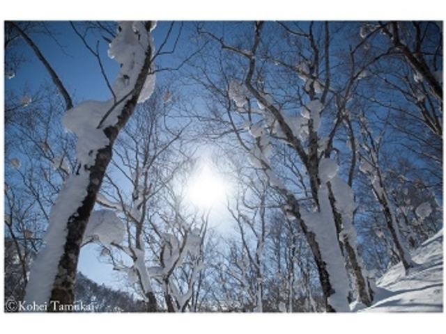 �K�C�h�l�C�`���[�Y�^�C��