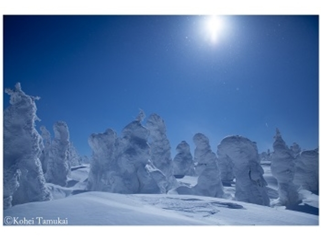 �K�C�h�l�C�`���[�Y�^�C��