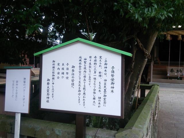 �䐨���ΐ_��