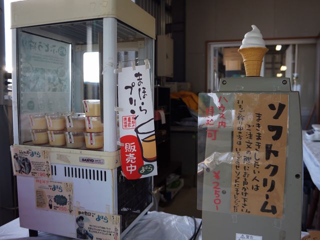 �܂ق�t�@�[��