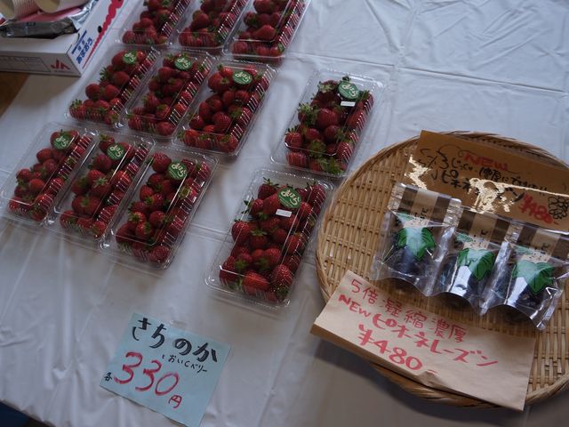 �܂ق�t�@�[��