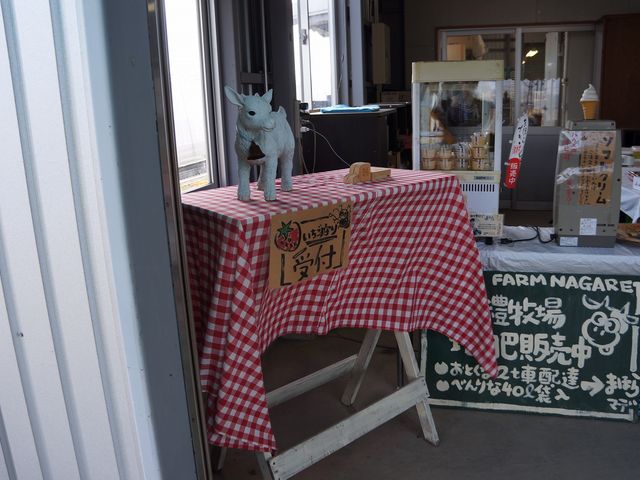 �܂ق�t�@�[��