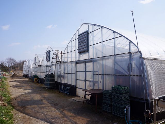 �܂ق�t�@�[��