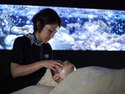 N[[VGXexCyߔe{Xz̎ʐ^3