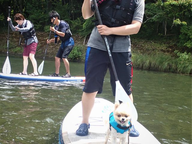 �y�b�g��OK�I�I_�ނ���v���W�F�N�g