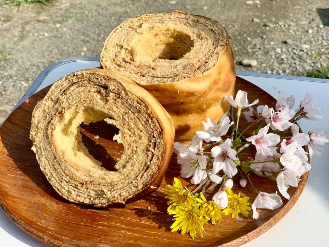 �e�헢�R�̌������{��_�ނ���v���W�F�N�g