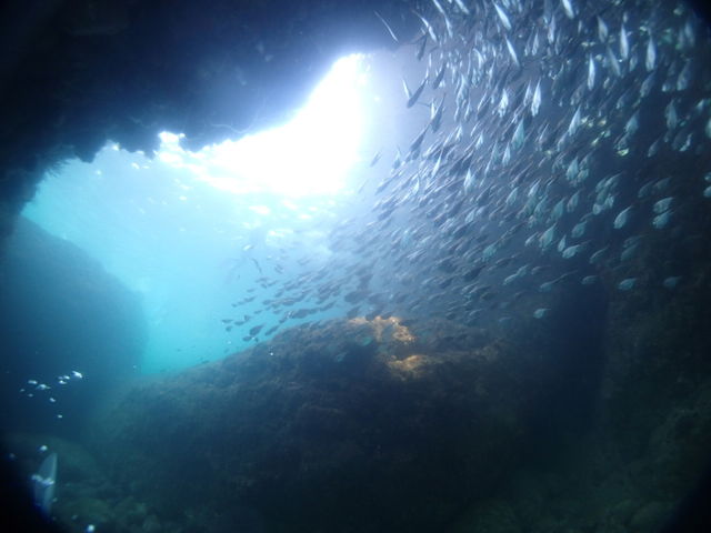 �̓��A�R�[�X_�u���[�A�[�X21�F�{