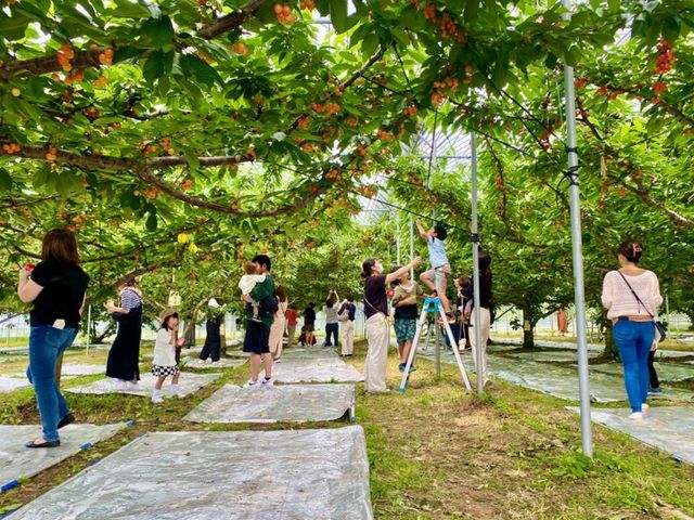 �u�̏コ�����ډ�