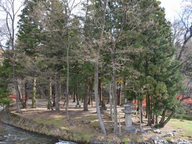 �z�K��� ���Џt�{ ������