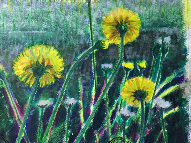 �A�N������i�|�P_�A�g���G�I�[�N�m��