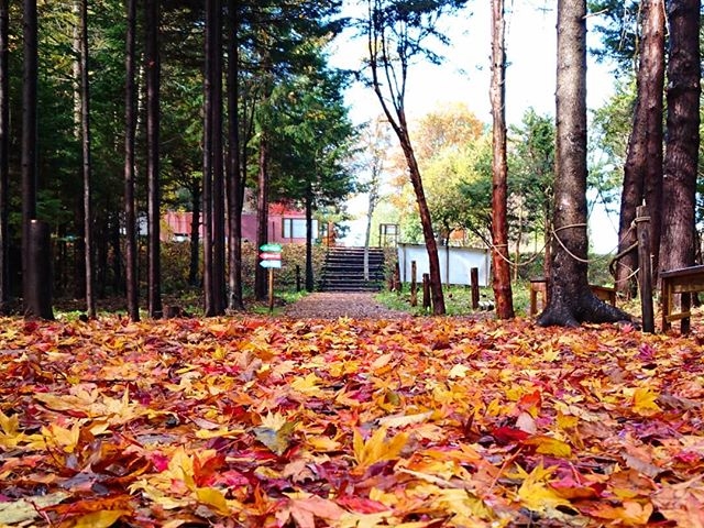 �t�H���X�g�A�h�x���`���[�E�b��