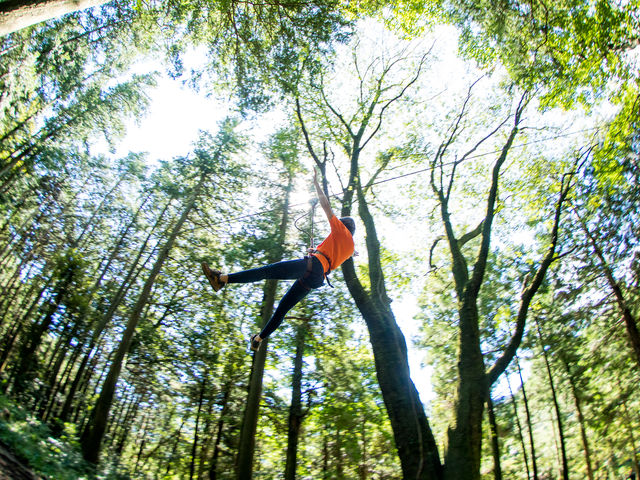 �t�H���X�g�A�h�x���`���[�E�b��