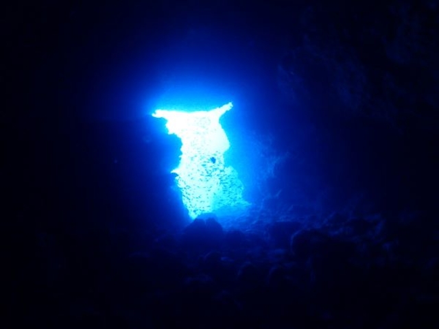 �����h���[���z�[����_R-MATES Okinawa Diving Club