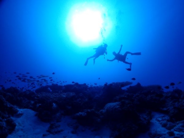 ��D�̃_�C�r���O���a��_R-MATES Okinawa Diving Club