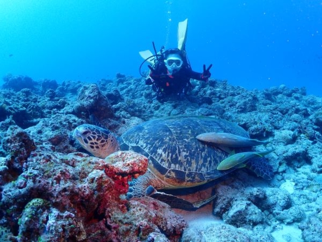 �J����2�V���b�g��_R-MATES Okinawa Diving Club