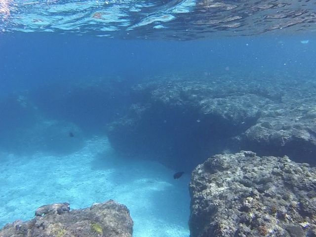 SURF&SUP���Ă����Y��ȉ���̊C_SURF & SUP North Ocean Blue