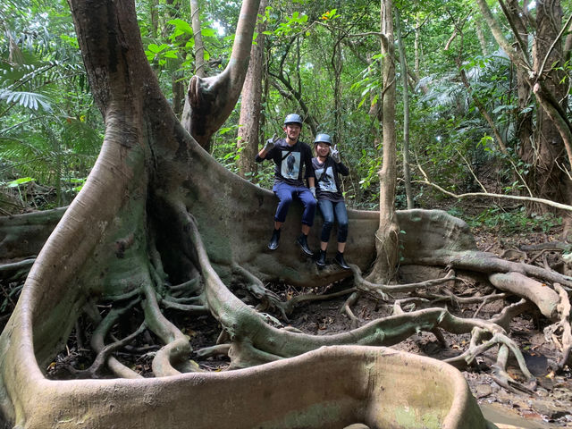 �g�g���̐X�ߓ������A�T���c�A�[
�g���b�L���O���ɂ���Ȃɑ傫�ȍ�����������؂ɑ�����
��̂���i�����Ă��Ȃ��A�������\�ɂ͂������񂠂�܂��I_villa���\�c�A�[�i���B�����\�c�A�[�j