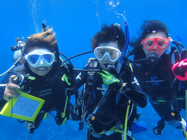 �̌��_�C�r���O
���߂Ă̕��ł����S��
�D�ǃ_�C�r���O�ƎҒ�g����܂�_villa���\�c�A�[�i���B�����\�c�A�[�j