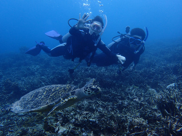 �|�C���g���N�G�X�g���\�I
�t�@���_�C�r���O�͐��\�Ł�_villa���\�c�A�[�i���B�����\�c�A�[�j