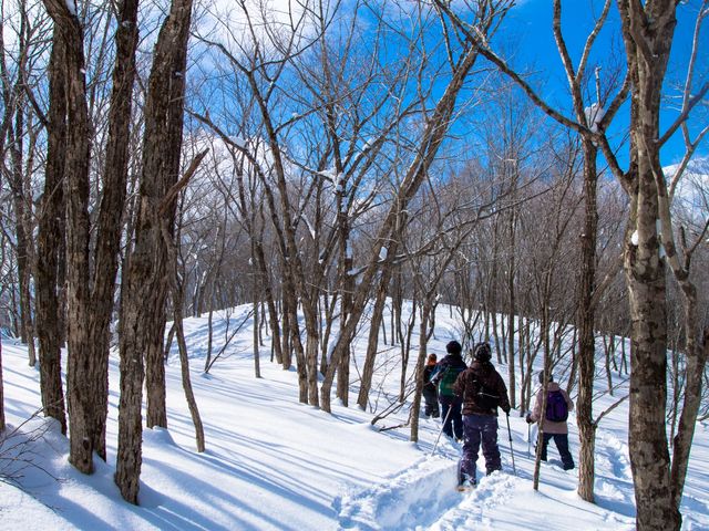 ��V�уc�A�[�����낢���悵�Ă܂��I
�肵��DN�I���W�i���A�uS.N.O.W.�v�I_DEEP NATURE