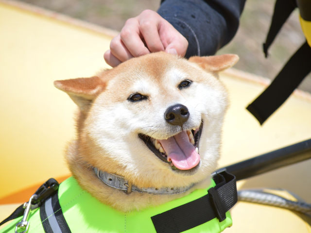 �ɂ�����Ί�ő喞��_DEEP NATURE