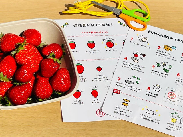 Ă邢͌LICɓĂ
V[Y͍ő6ނ䕂pӁIAȍg⌘낤䕂ׂ邩HH_strawberry farm BUNKAEN