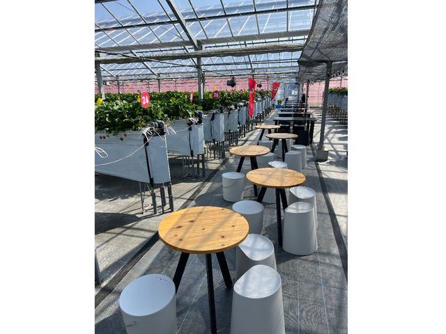 \񒸂FlɂȂpӁBn䕂e[uł̂тHׂ܂BEH[^[T[o[Aݕ݂̎Rł̂ŁAbNXĂ߂_strawberry farm BUNKAEN