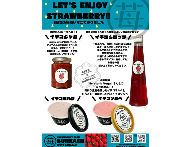 䕔_���ł������Ȃ��A������䕃^�b�v���̃W������V���b�v�_�ސ쌧���q��ƃR���{���[�V���������W�F���[�g��\���x���̔��B䕎��̃f�B�v�\�[�X�ɃW�F���[�g���I�X�X��_strawberry farm BUNKAEN