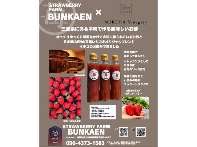 ���G��䕃r�l�K�[���o���
���A��̍ہA���y�Y�ɃI�X�X���ł��I
�r�l�K�[�̓T���_�̃h���b�V���O��~���N�ɓ���ă��b�V�[�h�����N���I�X�X���ł���[_strawberry farm BUNKAEN