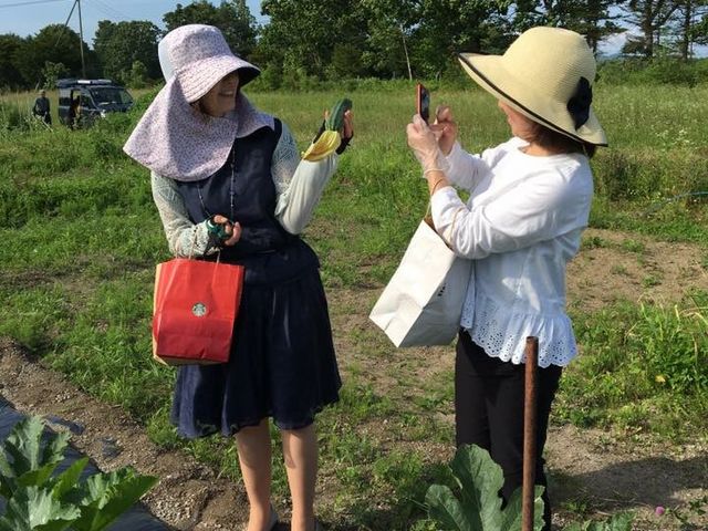 ���R�̌��_���@�Ƃ�����